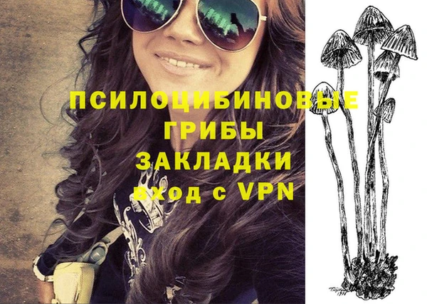 PSILOCYBIN Абдулино